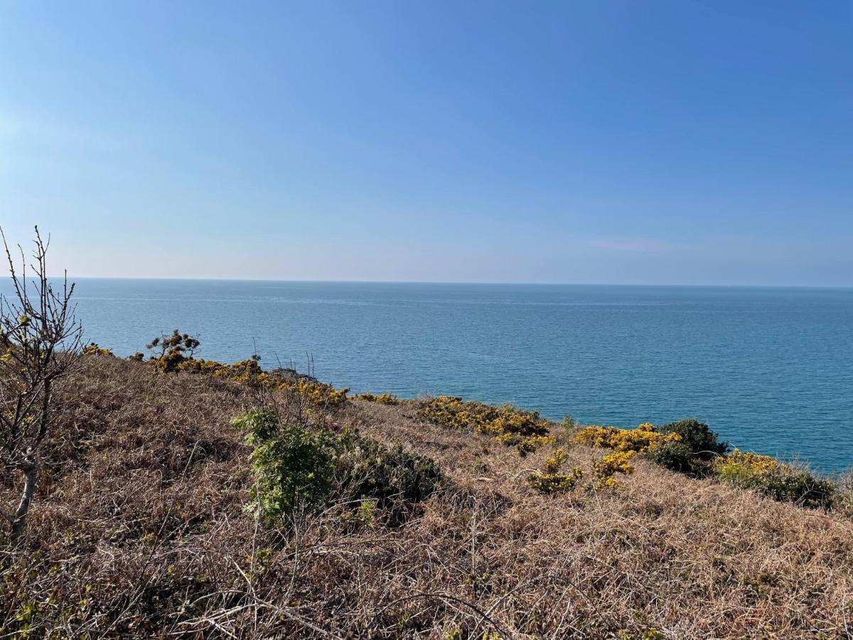 Au Petit Brick - Cosy Beachfront House Maupertus-sur-Mer エクステリア 写真